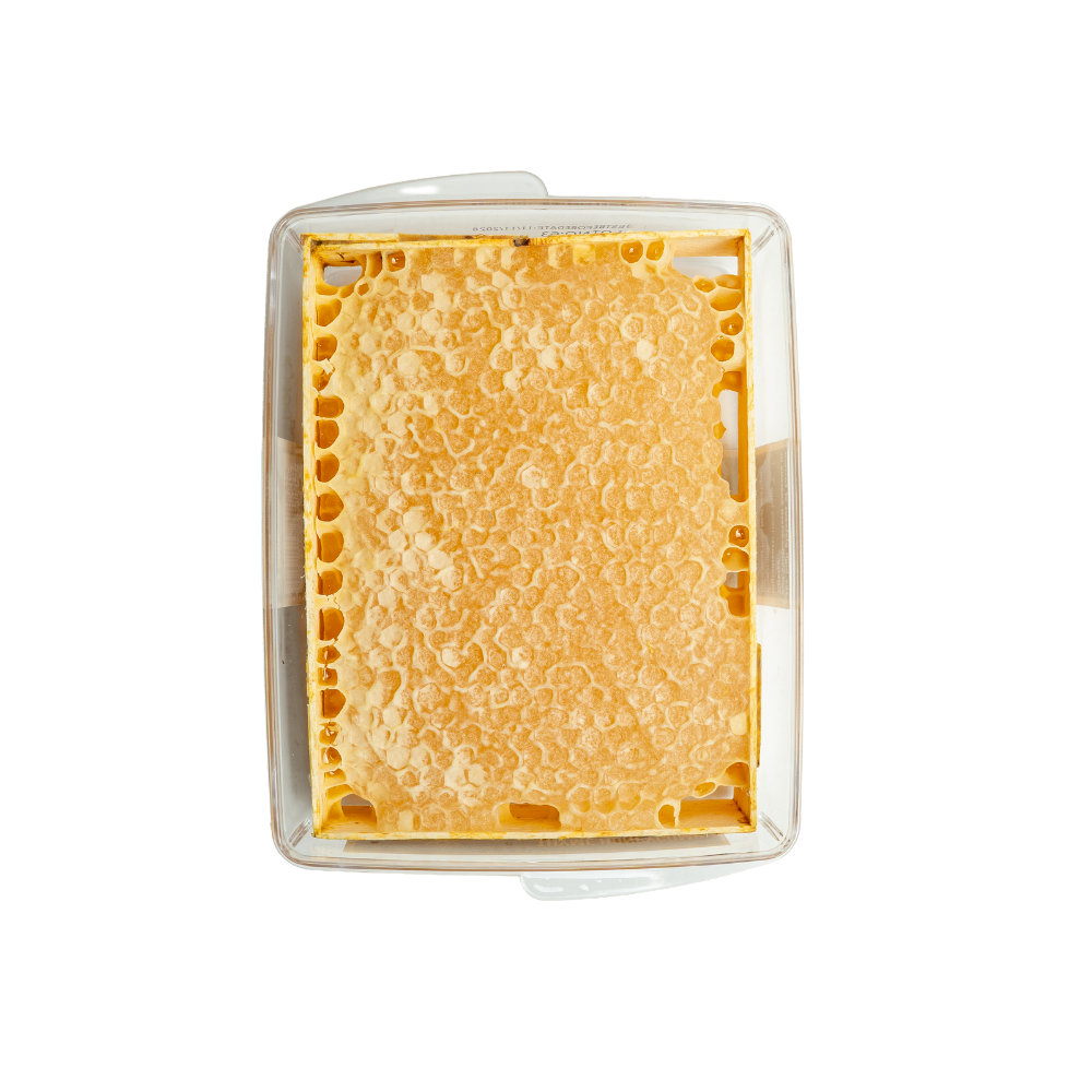 Honeycomb in a clear container on a white background
