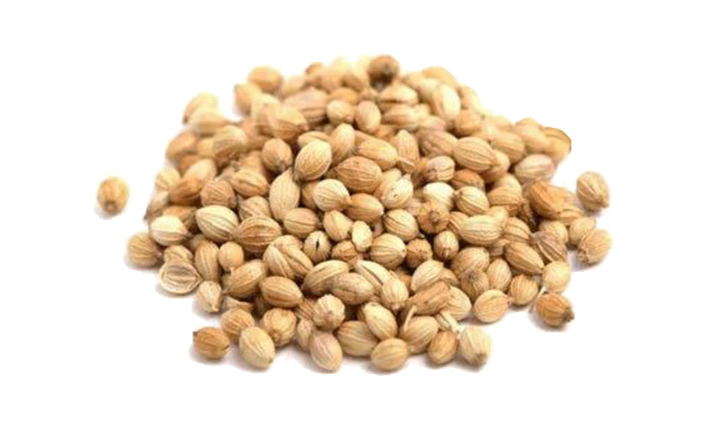 BAHARAT by Anthap Coriander Seeds - Kisnis Tohumu