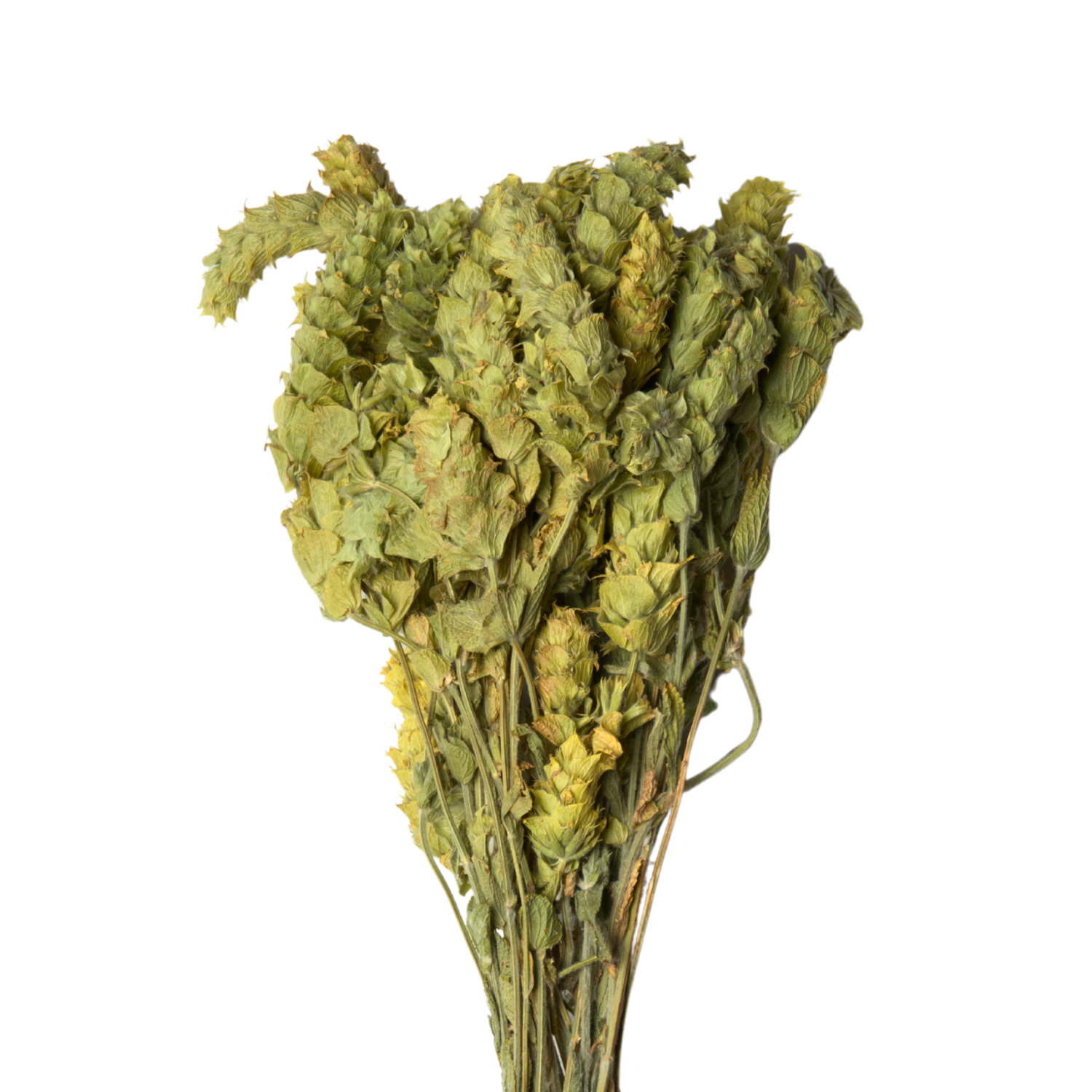 Anthap Natural Loose/Leaf Mountain-Sage Tea-Dogal Dag Cayi