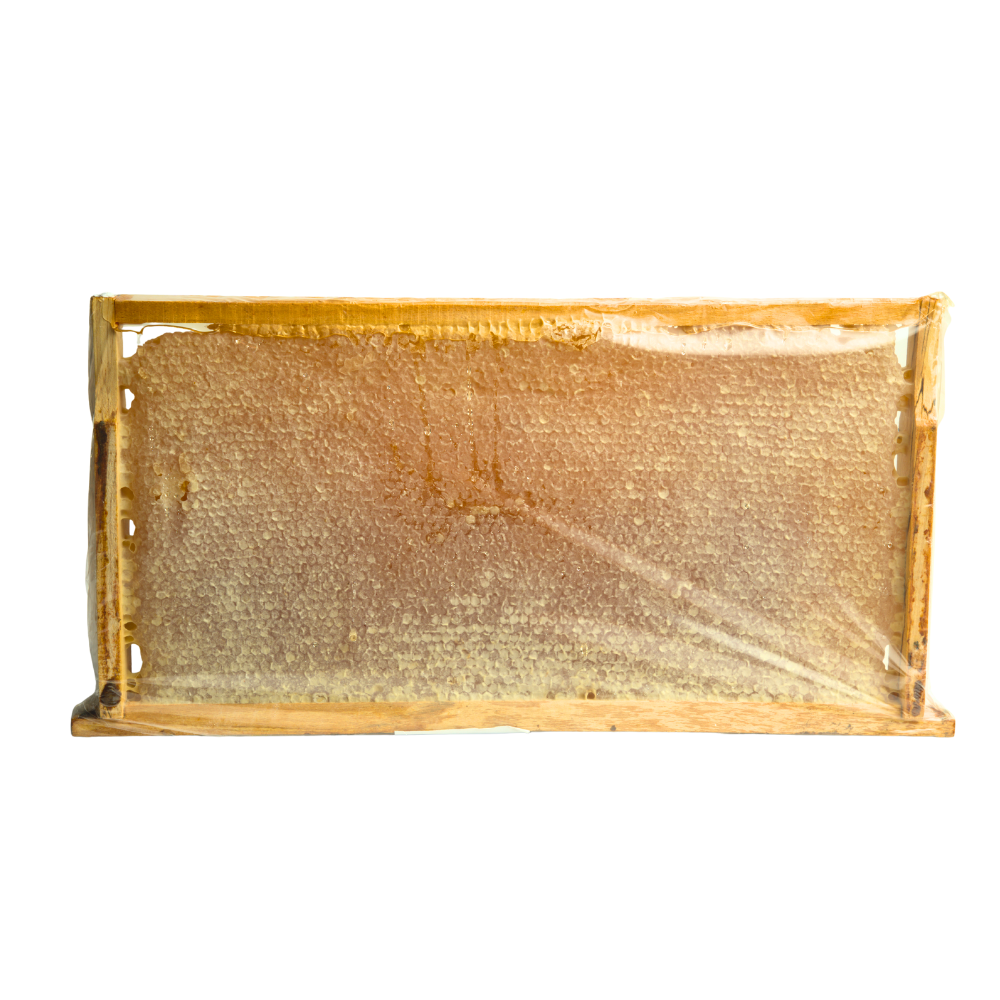 Anthap 100% Natural Thyme Honeycomb Honey (2.9-3.1 KG)