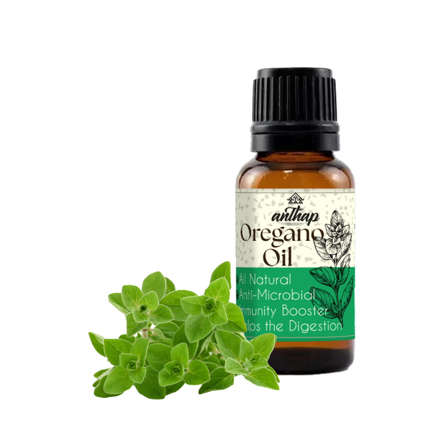 Anthap Oregano Oil