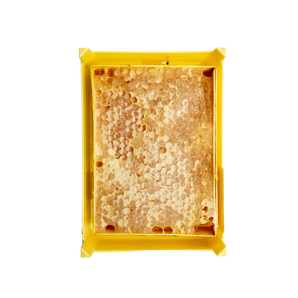 Anthap 100% Natural Premium Mini Honeycomb Honey