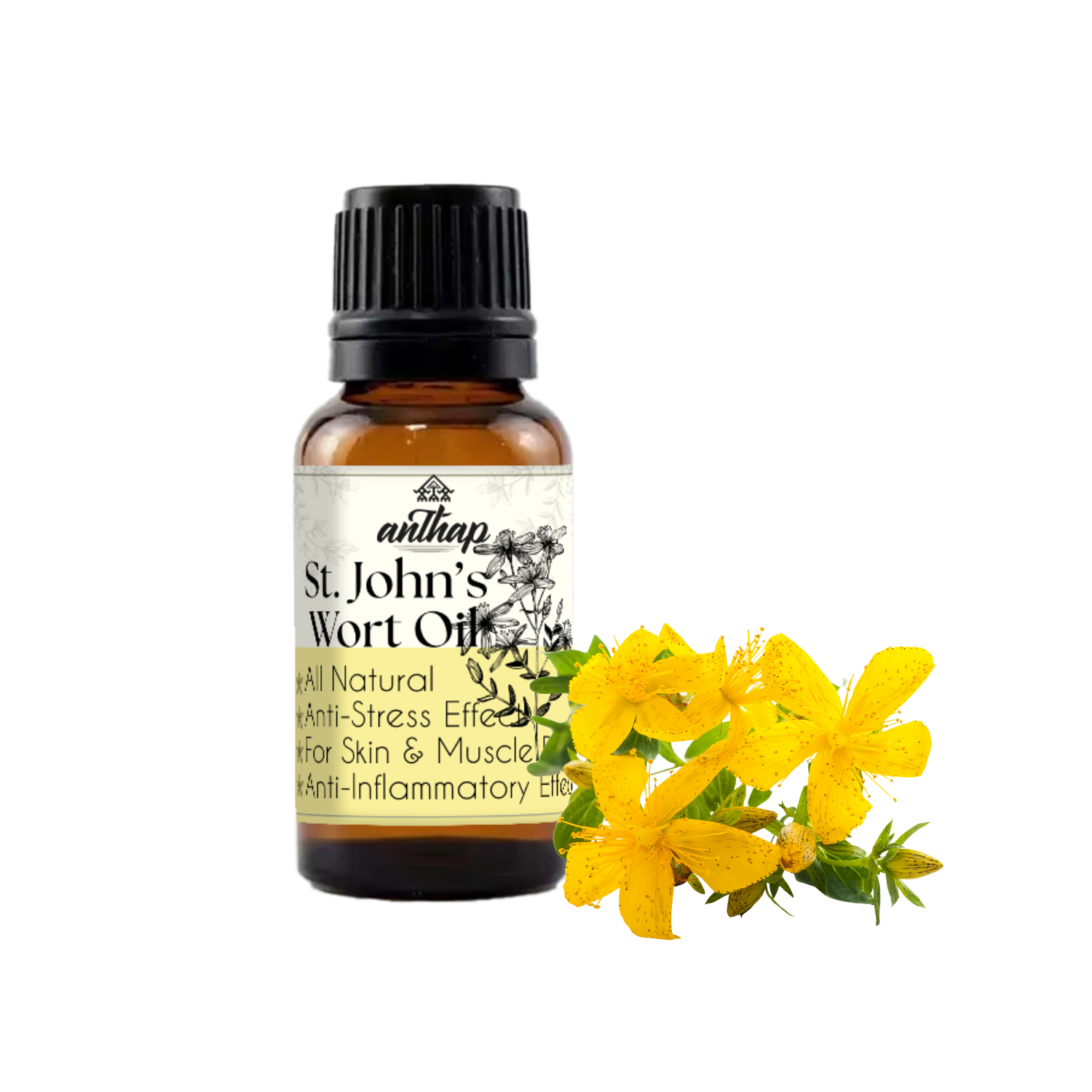 Bottle of St. John's Wort oil with a yellow flower on a white background