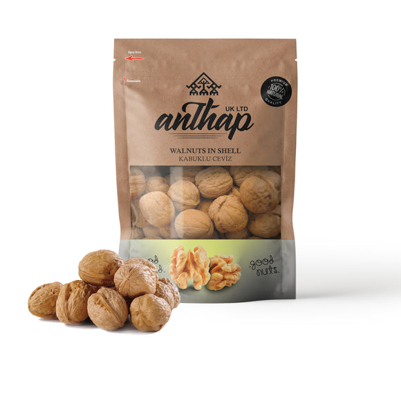 Anthap Walnuts in Shell Premium Quality (Kabuklu Ceviz)