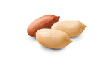 Anthap Premium Quality Raw Peanut